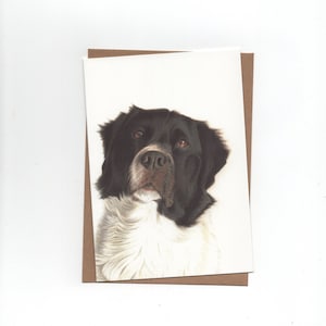 Friese Stabij Skip, hond, gevouwen kaart met envelop met envelop, print van kleurpotloodtekening