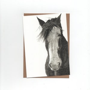 Cavallo, biglietto piegato con busta, stampa di disegno a penna