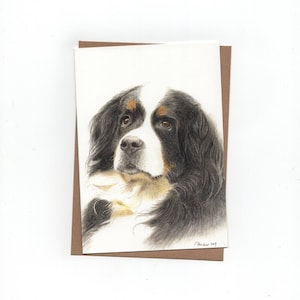 Berner Sennenhund, Klappkarte mit Umschlag, Druck einer Buntstiftzeichnung