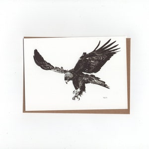 Steenarend, landend, gevouwen kaart met envelop, print van pentekening