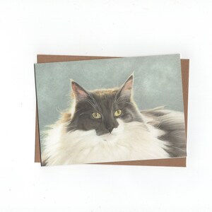 Maine Coon, kat,  gevouwen kaart met envelop,print van kleurpotloodtekening