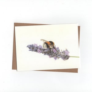 Bourdon sur lavande, carte pliée avec enveloppe, impression d'un dessin au crayon de couleur