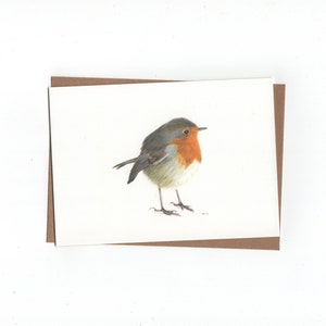 Roodborstje, gevouwen kaart met envelop, print van kleurpotloodtekening