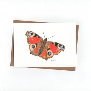 Mariposa pavo real, tarjeta doblada con sobre, mariposa, impresión de dibujo a lápiz de color