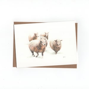Schapen in de sneeuw, gevouwen kaart met envelop, print van kleurpotloodtekening