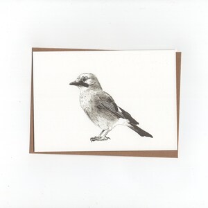 Jay, Jay, biglietto piegato con busta, stampa di un disegno a penna