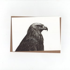 Steenarend, gevouwen kaart met envelop, print van pentekening