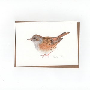 Heggemus, gevouwen kaart met envelop, print van kleurpotloodtekening