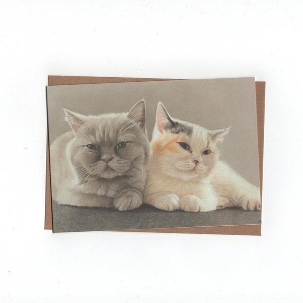 Dos gatos, British Shorthair, tarjeta doble con sobre, impresión de dibujo a lápiz de colores