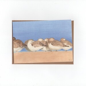Drieteenstrandlopers, gevouwen kaart met envelop, print van kleurpotloodtekening