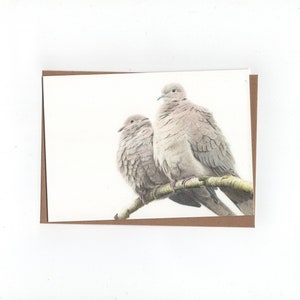 Turkse tortel paar, gevouwen kaart met envelop, print van kleurpotloodtekening