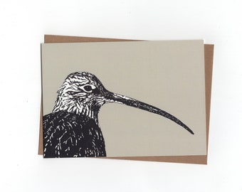 Curlew, folded card with envelope, print of inkdrawing