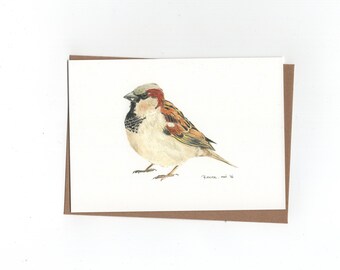 House sparrow, print of coloured pencil drawing, double card with envelope