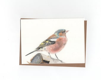 Finch, print of a coloured pencil drawing, double card with envelope