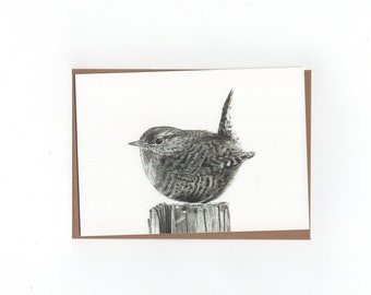 Wren, folded card with envelope, print of  inkdrawing,