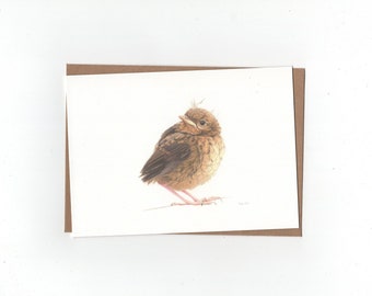 Juvenile robin, folded card with envelope, print of colouredpencildrawing