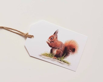 Rode eekhoorn, set van 6 cadeaulabels, print van kleurpotloodtekening