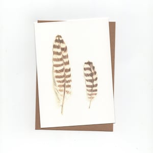 Wulp-en tureluurveer, print van kleurpotloodtekeningen, gevouwen kaart met envelop