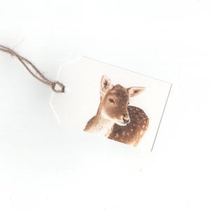 Könnte beinhalten: Ein weißer Geschenkanhänger mit einer Illustration eines braunen und weißen Rehs. Das Reh schaut nach rechts und hat ein geflecktes Fell.