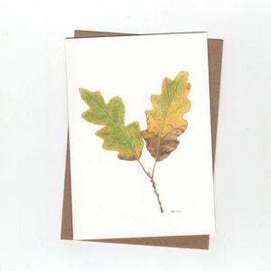 Feuille d'automne, feuille de chêne, carte pliée avec enveloppe, impression d'un dessin au crayon de couleur