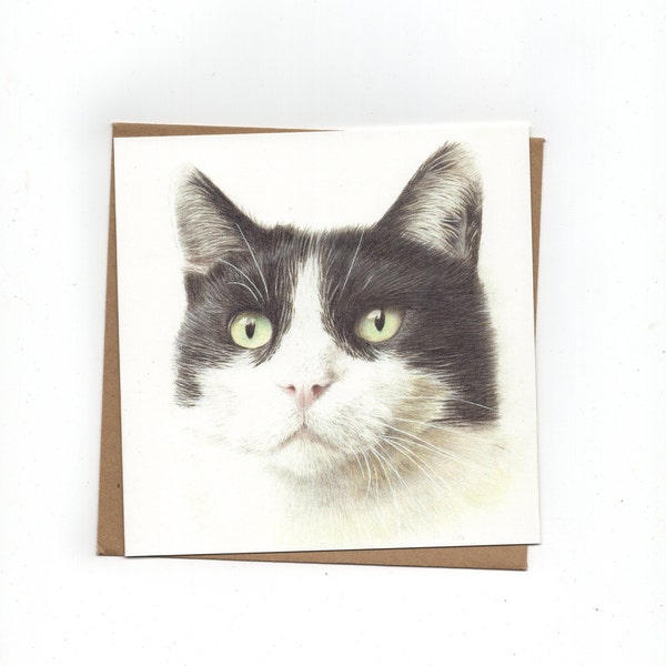 Zwart-witte kat, print van kleurpotloodtekening, dubbele kaart met envelop