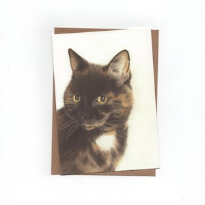 Chat écaille de tortue, carte pliée avec enveloppe, chat, impression de dessin au crayon de couleur