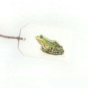 Grenouille verte, ensemble de 6 étiquettes cadeaux, impression d'un dessin au crayon de couleur