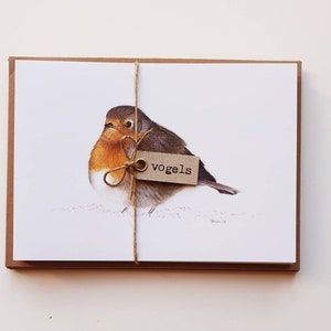 Vogels, set van 10 dubbele kaarten met envelop, prints van tekeningen afbeelding 2