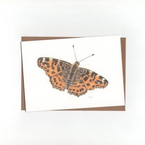 Mapa, mariposa, tarjeta doblada con sobre, impresión de dibujo a lápiz de color.