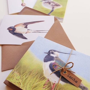 Lente, set van 10 gevouwen kaarten met envelop, prints van tekeningen