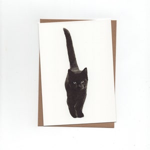 Chat noir, carte pliée avec enveloppe, impression d'un dessin au stylo