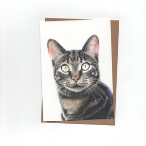 Chat tigré, carte pliée avec enveloppe, impression d'un dessin au crayon de couleur