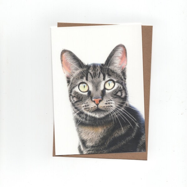 Cyperse kat, dubbele kaart met envelop, print van kleurpotloodtekening