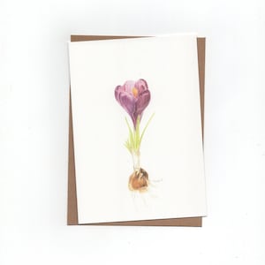 Crocus, gevouwen kaart met envelop, print van kleurpotloodtekening