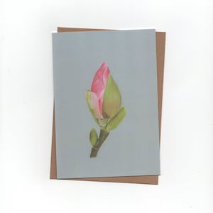 Magnoliatak, magnolia, gevouwen kaart met envelop, print van kleurpotloodtekening