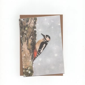 Bonte specht in de sneeuw, gevouwen kaart met envelop, print van kleurpotloodtekening