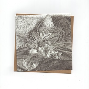Chat endormi, carte pliée avec enveloppe, impression d'un dessin au stylo