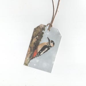 Pic épeiche dans la neige, ensemble de 6 étiquettes cadeaux, impression d'un dessin au crayon de couleur