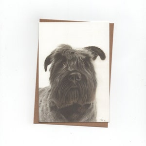 Bouvier, hond, print van kleurpotloodtekening, gevouwen kaart met envelop