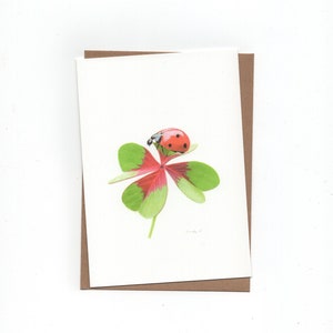 Coccinella su quadrifoglio, doppia fortuna, cartoncino piegato con busta, stampa di disegno a matita colorata
