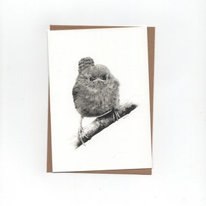 Jong winterkoninkje, gevouwen wenskaart met envelop, print van pentekening