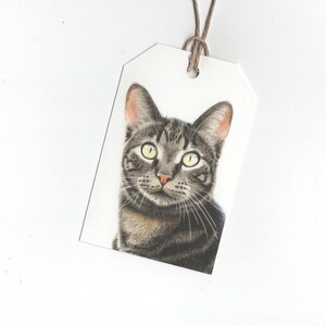 Gatto soriano, set di 6 etichette regalo, stampa di disegno a matita colorata