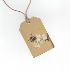 Abelha em flor de macieira, conjunto de etiquetas para presente, impressão de desenho a lápis de cor