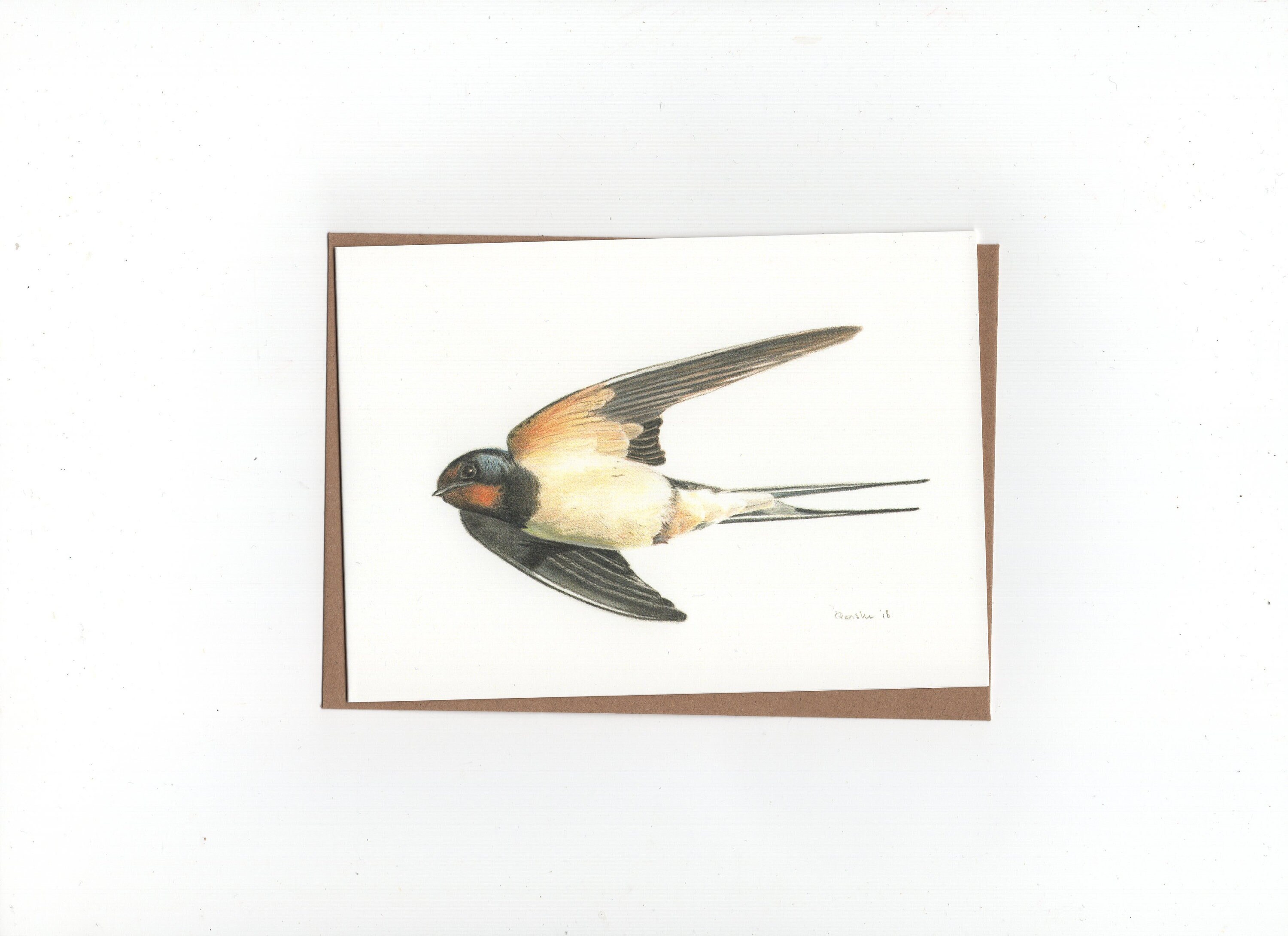 Swallow, print of colouredpencildrawing, double card with envelope
