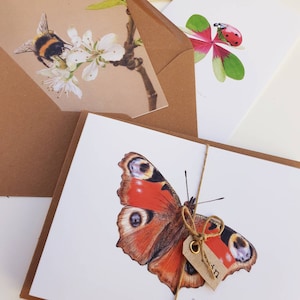 Jardin, fleurs, insectes, lot de 10 cartes pliées avec enveloppe, impressions de dessins