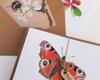 Garden, flowers, insects, set of 10 folded cards with envelope, prints of drawings