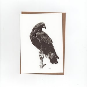 Aquila reale sul ramo, biglietto piegato con busta, stampa di un disegno a penna
