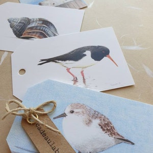 Strand, set van 10 cadeaulabels, prints van tekeningen