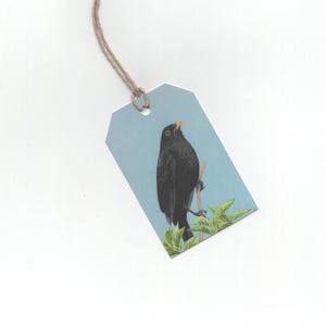 Blackbird, ensemble de 6 étiquettes cadeaux, impression de dessin au crayon de couleur