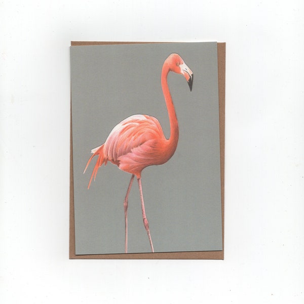 Flamingo, folded card with envelope, print of a coloured pencil drawing, 